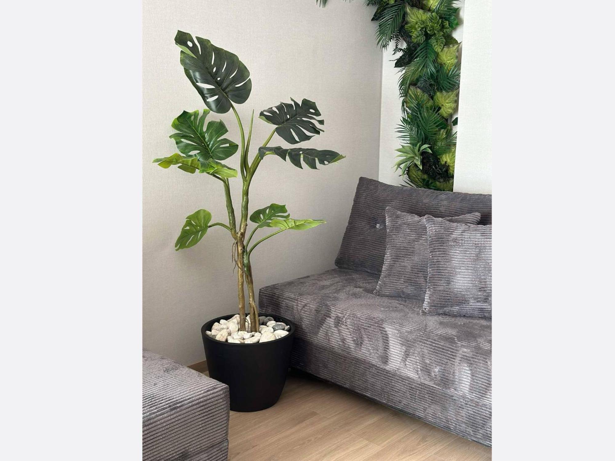 Jungle Apartment